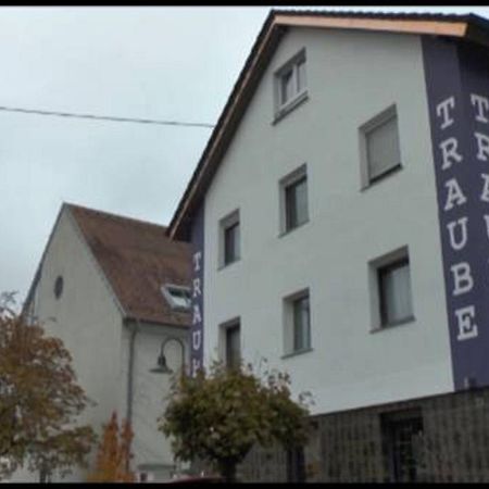 Gasthof Traube アスパッハ エクステリア 写真
